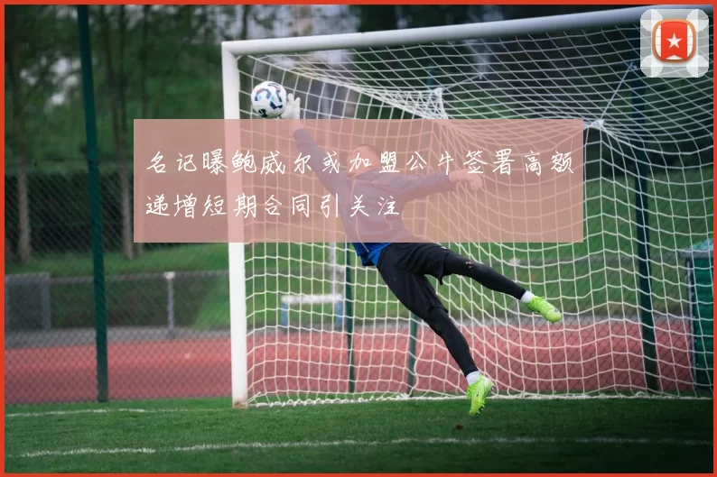 名记曝鲍威尔或加盟公牛签署高额递增短期合同引关注